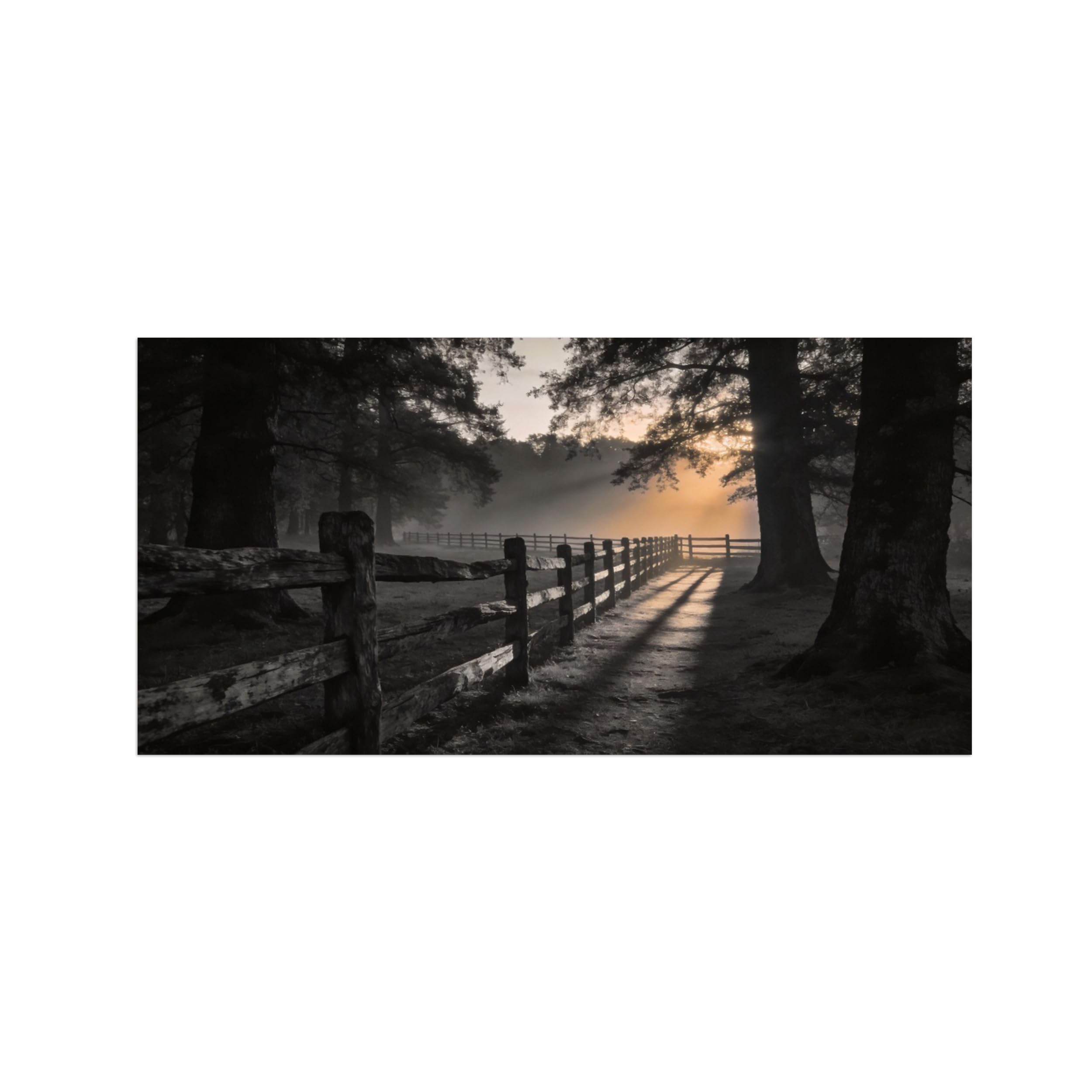 OZPWBVY Black and White Landscape Print Painting-Tree Sunrise-Minimalist Canvas Wall Art Picture for Home Decor 8x16in 20x40cm Unframed