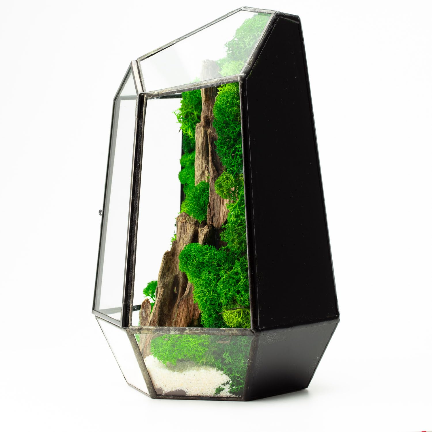 Terrario Stabilizzato Fløya in Vetro completo, Design Nordico con Legno, Muschi e Licheni Stabilizzati Arredo Naturale Elegante Senza Manutenzione per Casa, Ufficio e Idee Regalo Green