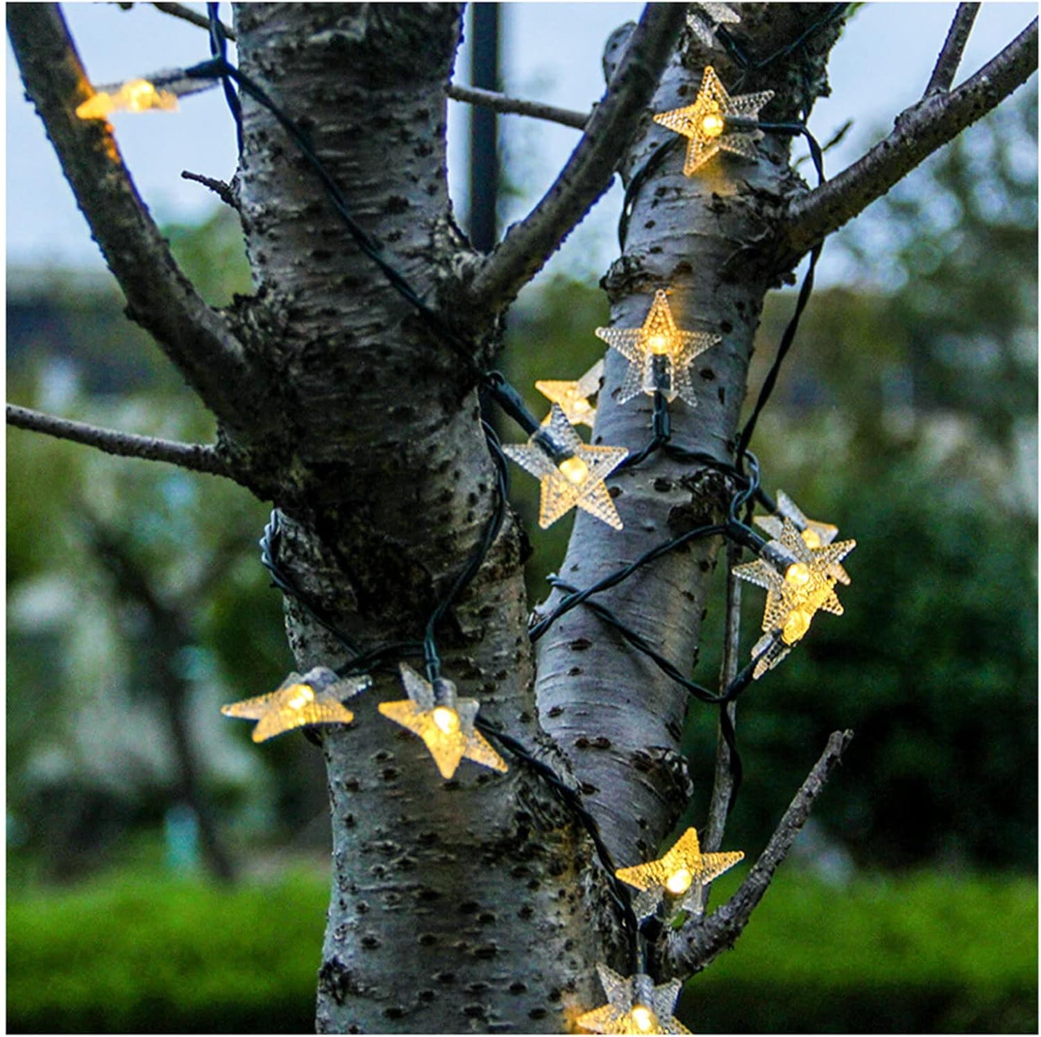 Amazon.co.jp クリスマスのあかり 導いた暖かい白、8つのモード、防水性のある、クリスマスの装飾用のリモート付きの接続可能な