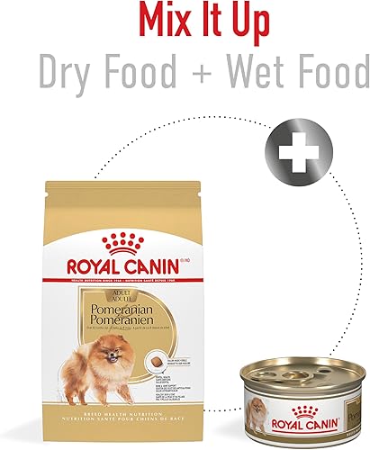 Miniatura 5 de Royal Canin Alimento seco para perros Breed Health Nutrition Pomeranian, bolsa de 10 libras