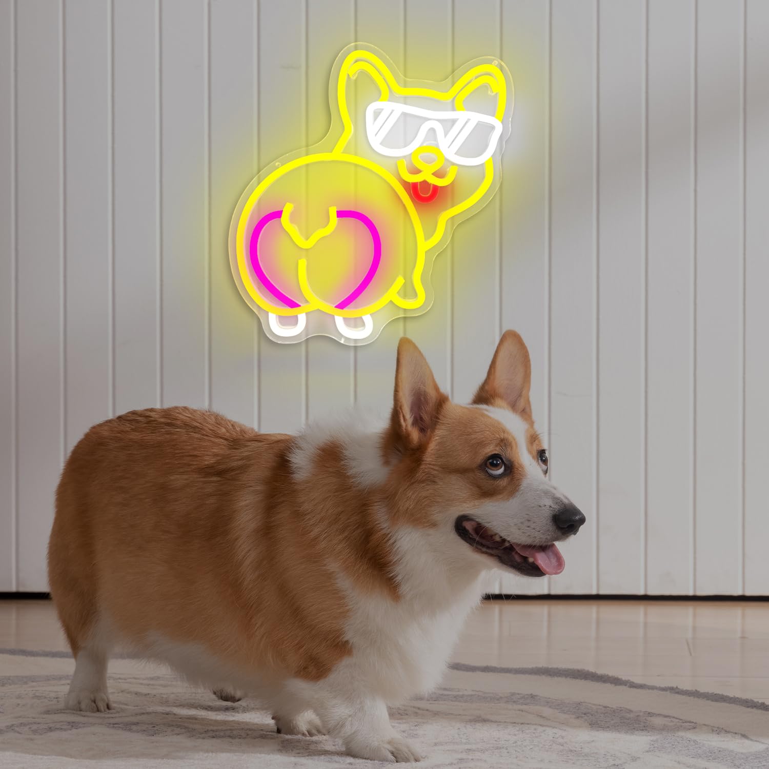 Amazon.co.jp: 壁の装飾用コーギーネオンサイン LEDネオンライトサイン