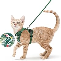 Vista 54 de rabbitgoo Cat Harness and Leash for Walking, Escape Proof Soft Adjustable Vest Harnesses for Cats, Easy Control Breathable Reflective Strips Jacket