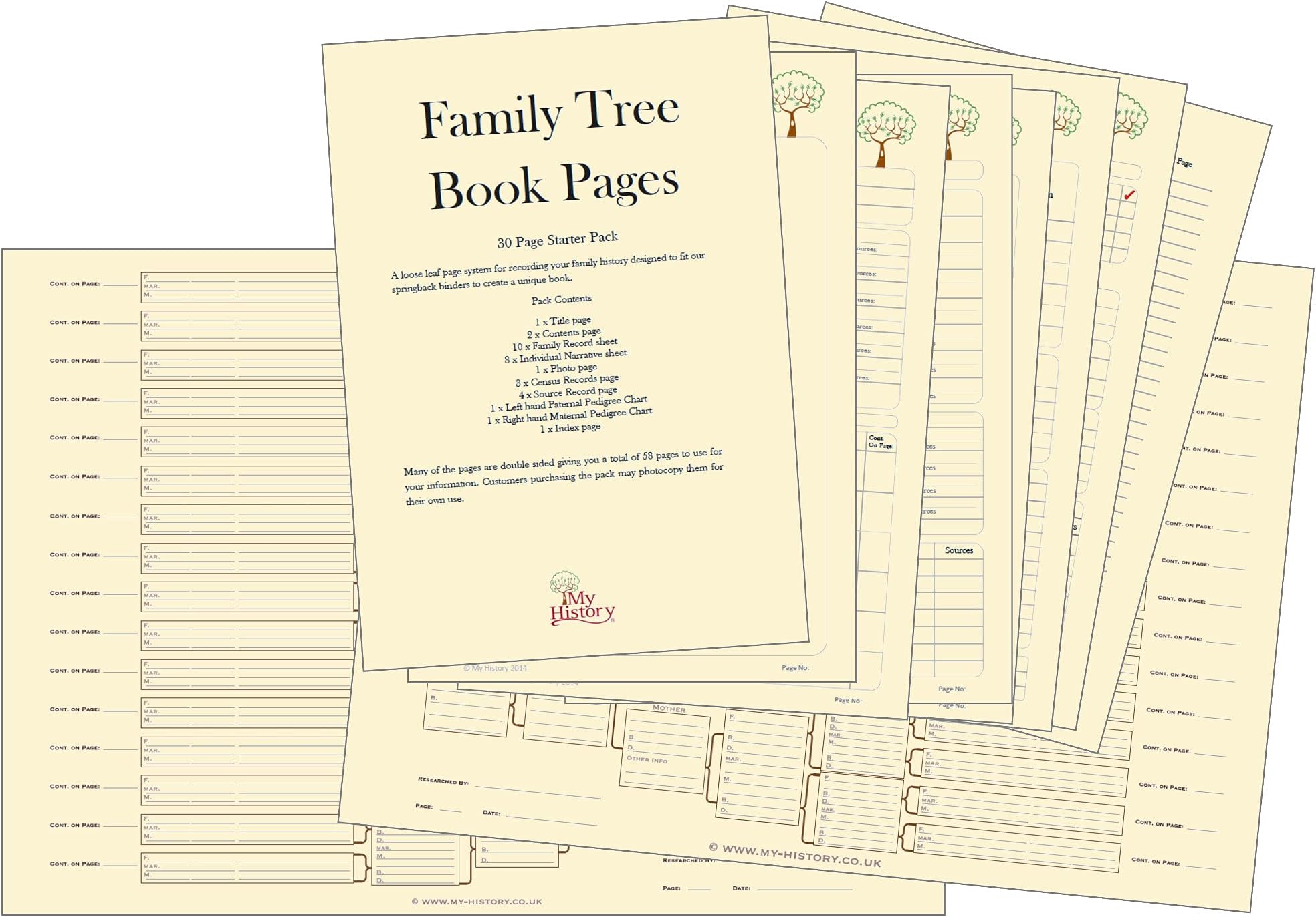 Family Tree Chart - 10 Generation Double Chart (Coloured Boxes 120 g ...