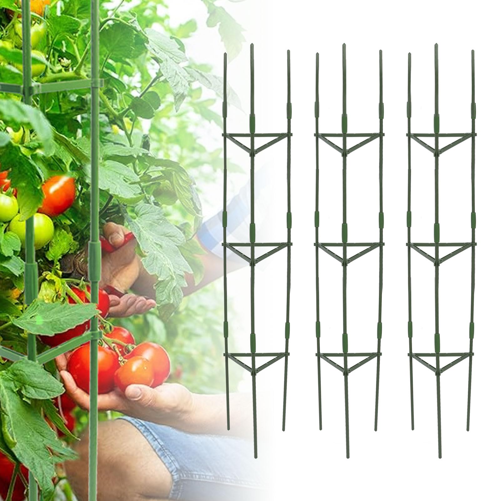 Tomatenkäfig Set – 3 Stück, Je 140 Cm Hoch, Aus Beschichtetem Stahl, Für Tomaten & Kletterpflanzen