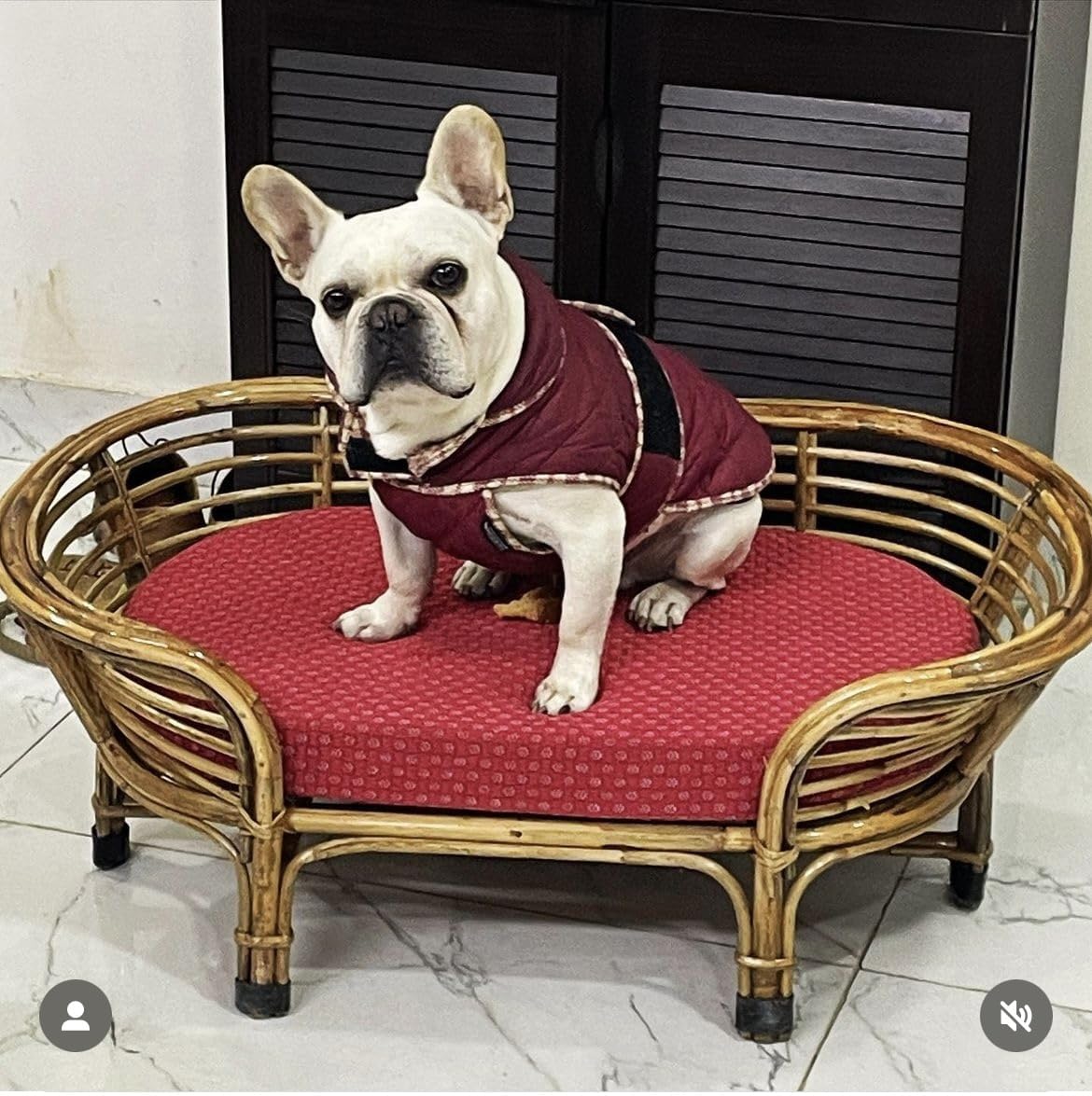 Rattan Bamboo Cane PET Bed for Dogs & Cats with 3 Inches Comfortable Foam Mattress (Onesize, Brown)