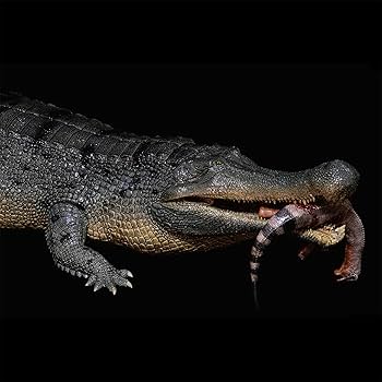 Amazon | BACALYSO |REBOR 1/35 サイズ ワニ デイノスクス