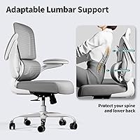 Vista 6 de Silla de oficina – Silla de escritorio ergonómica con soporte lumbar ajustable, silla de computadora de malla, silla ejecutiva para oficina en casa