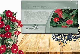 Outsidepride Climber Vine Seeds - 500 Pcs. Annual, Versatile, Hardy & Low Maintenance, Flower Seeds for Planting Vibrant Red Trumpet-Shaped Blooms, Great for Landscaping & Pollinator Gardens