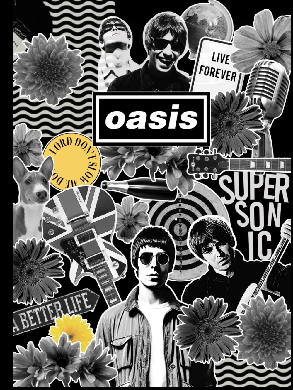 Supersonic Chronicles: The Definitive Guide to Oasis Albums, Songs, and Stories