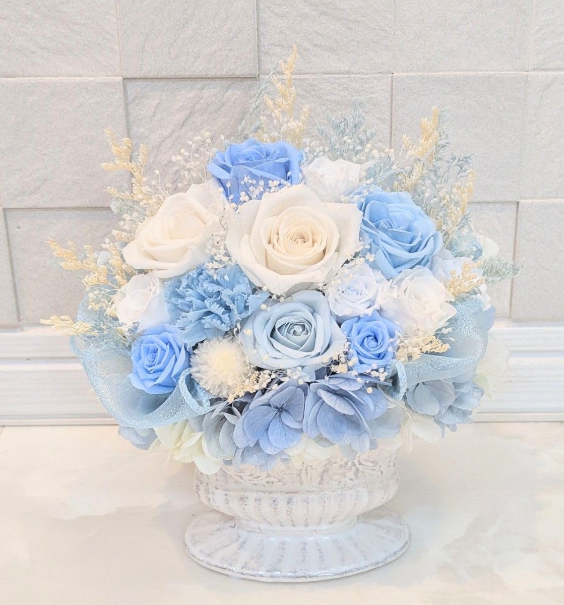 【良株】亀甲オベサ　発根済み 良株 亀甲オベサ 発根済み や*ん様 【発根済み！特選株