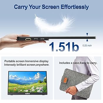 Amazon.com: InnoView Portable Monitor 15.6