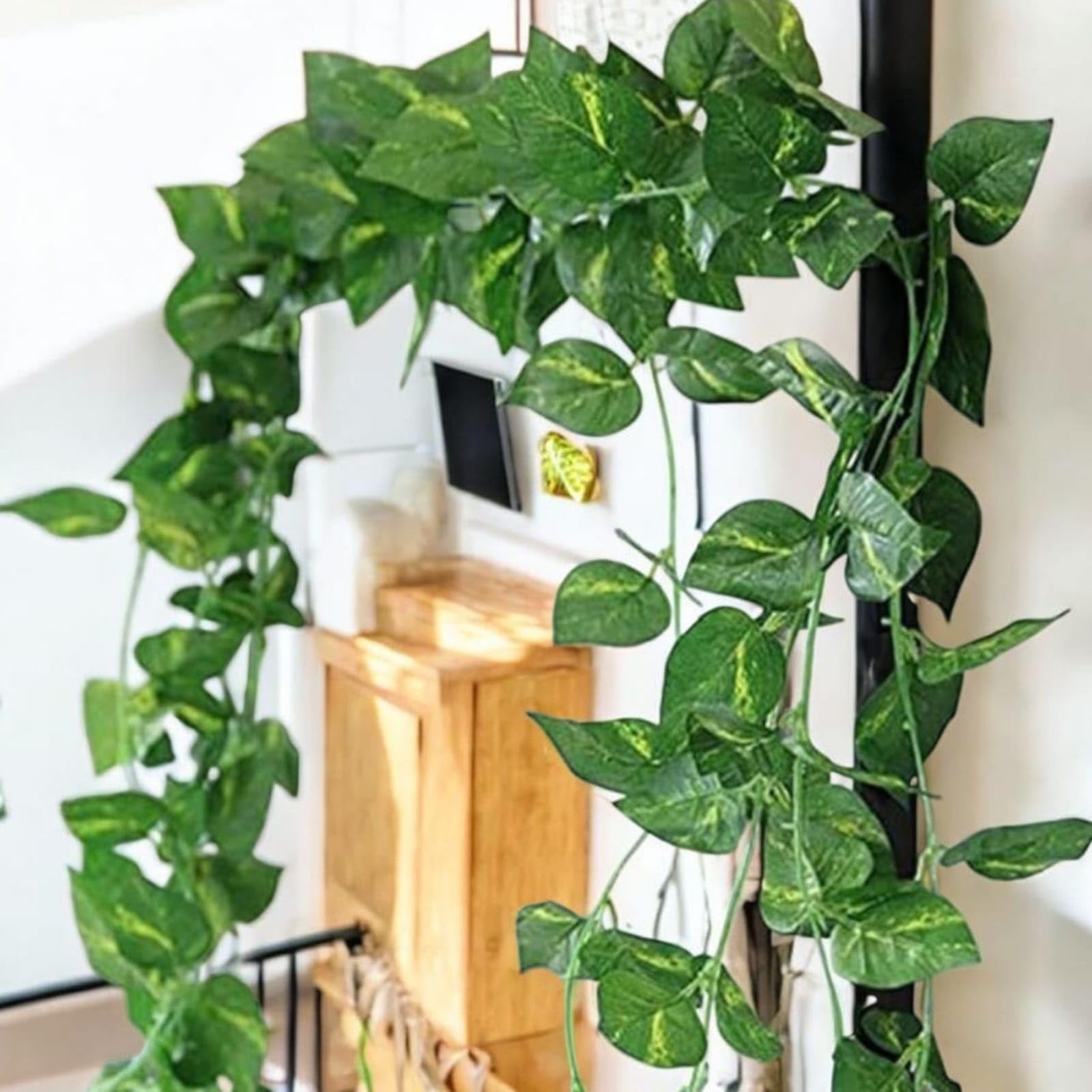 SAUDEEP INDIA Artificial Green Leaf Money Plant | 7.2 Feet Bel Vine Creeper | Realistic Hanging Fake Leaves Garland | Home Decor for Door, Wall, Balcony, Garden & Festival Decoration (3 Vines)-image-11