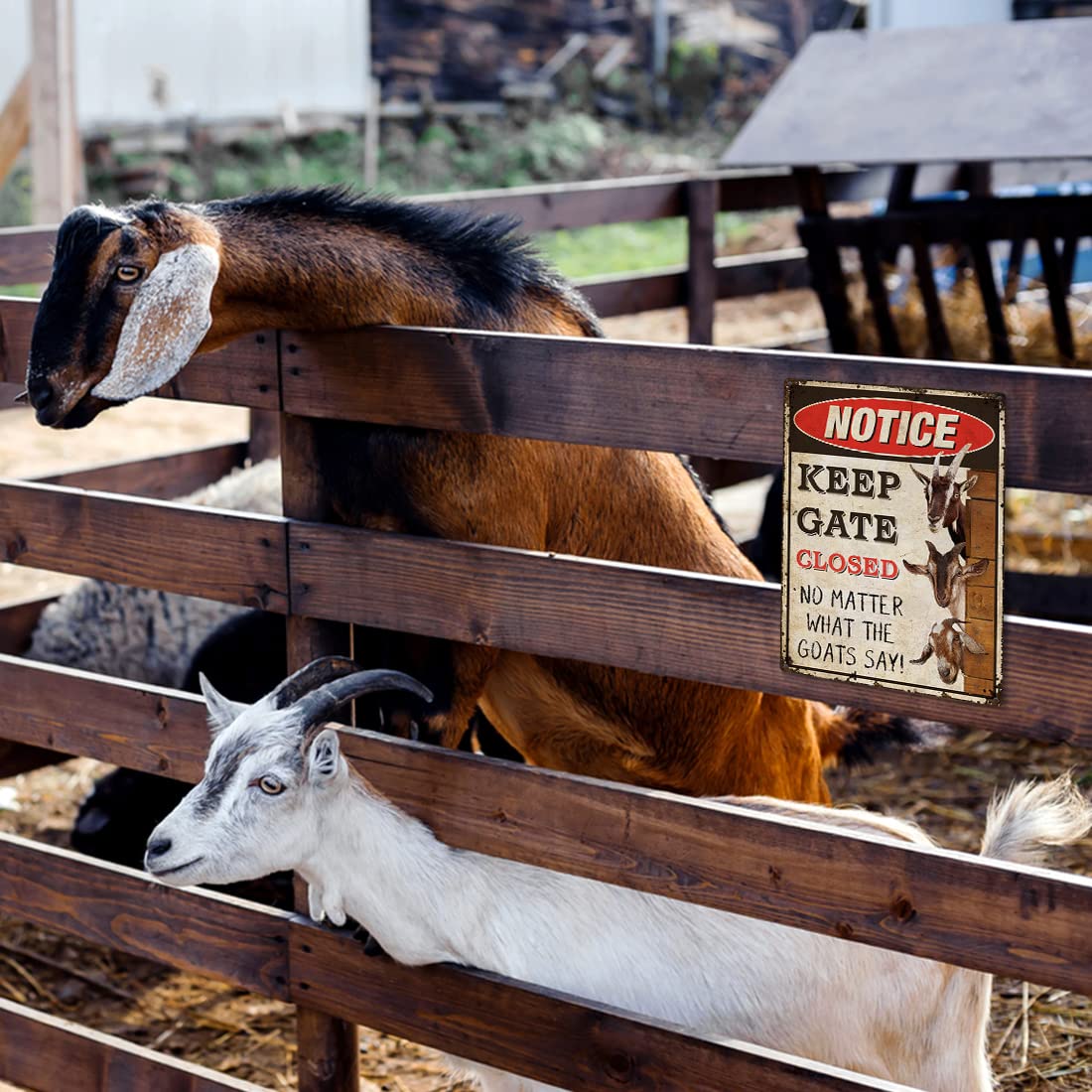 Targa In Metallo Umoristica Per Giardino – Keep Gate Closed No Matter What The Goats Say, 20x30 Cm, Alluminio Antiruggine Con Fori - 4