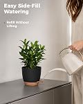 Bamworld 6 Pack Indoor Plant Pots Shelf Watering Planters for Indoor Plants with Drainage Hole Plastic Plant Pot for Home Gardening Containers(Black)