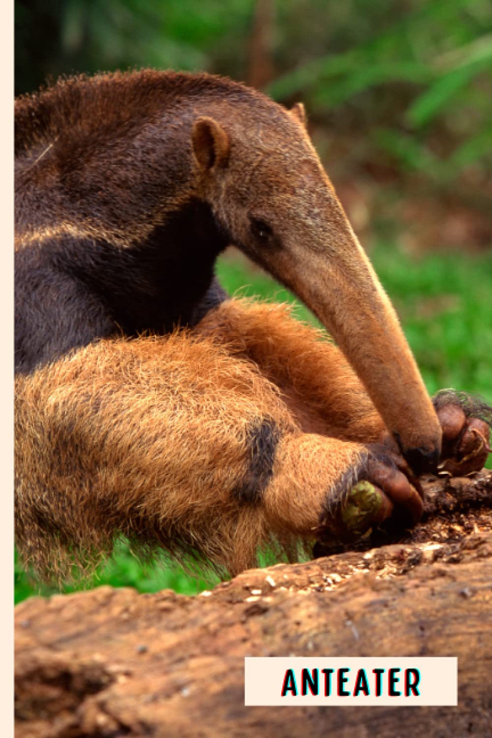 Anteater: Perfect Anteater Journal for Memories And Notes , Anteater Notebook ( 110 Pages, 6x9 )