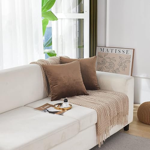 Miniatura 2 de Sunday Praise Juego de 2 fundas de almohada de terciopelo suave y grueso de 18 x 18 pulgadas, fundas de cojín cuadradas decorativas sólidas para