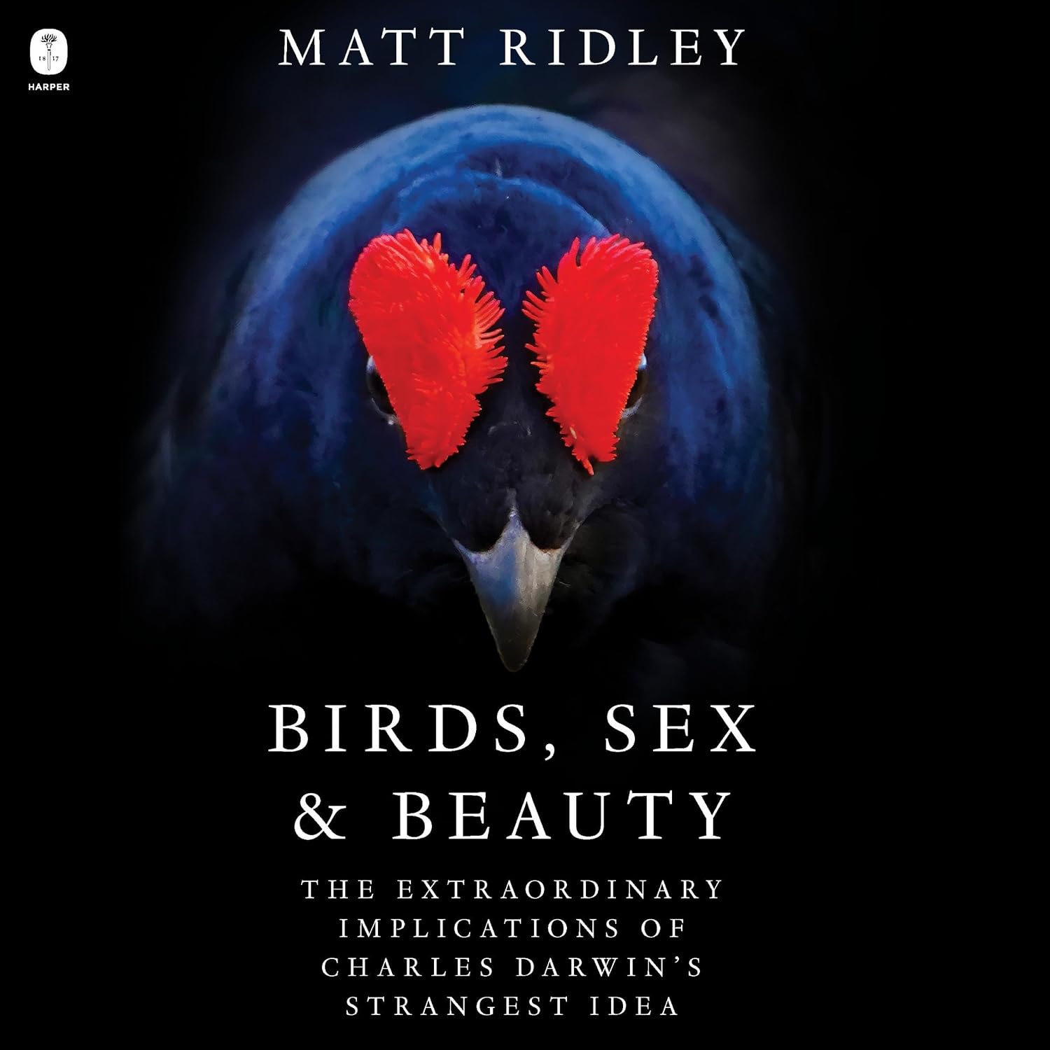 Birds, Sex and Beauty: The Extraordinary Implications of Charles Darwin's Strangest Idea