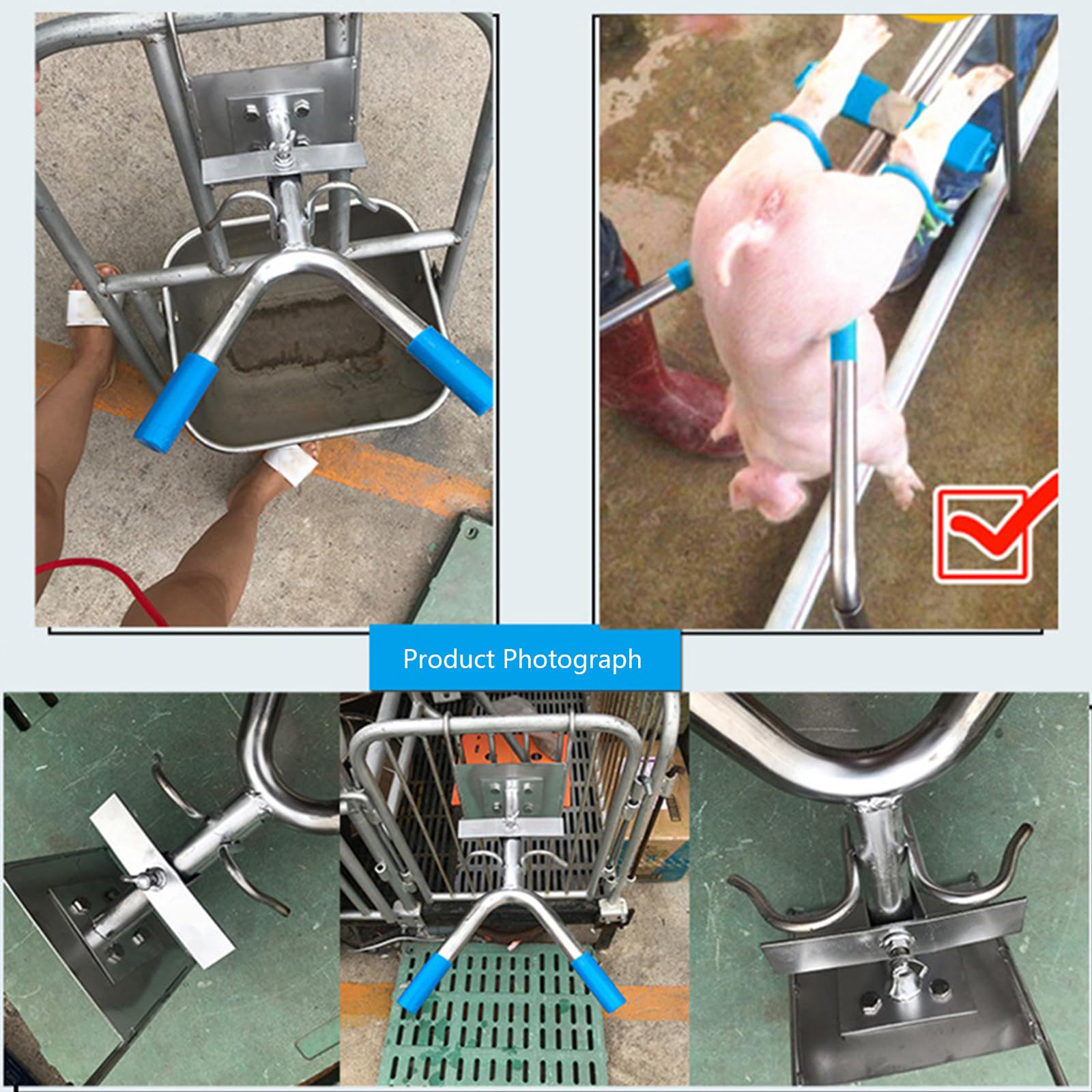 Outil de castration pour porcelets pour bétail, support de castration en acier inoxydable pour petits animaux, outil de castration pour castration de porc, cadre castré