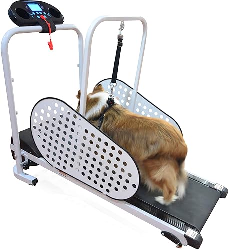 Miniatura 4 de Shelandy Cinta de correr para mascotas | Cinta de correr inteligente y motorizada para perros pequeños y medianos