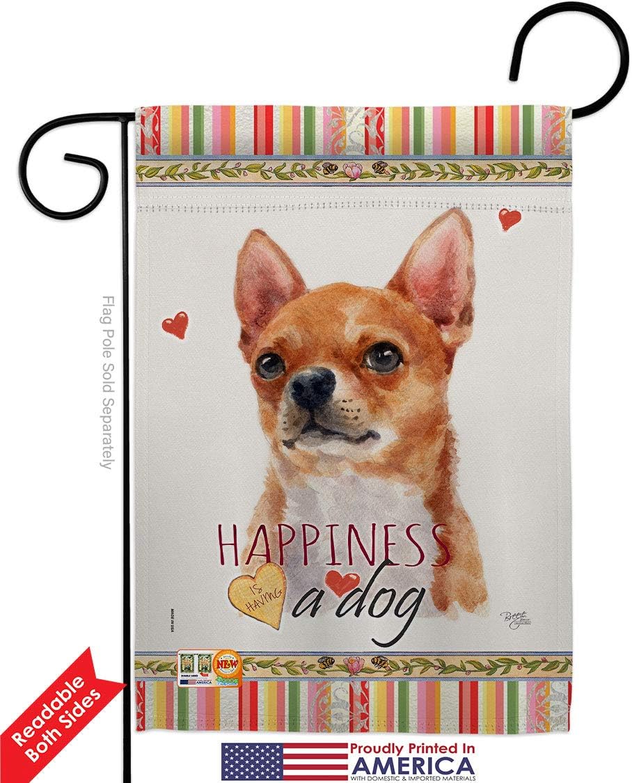 Shorthair Chihuahua Happiness Garden Flag Set Wall Holder Animals Dog Puppy Spoiled Paw Canine Fur Pet Nature Farm Animal Creature Small Gift Yard House Banner Double-Sided Made In USA 13 X 18.5