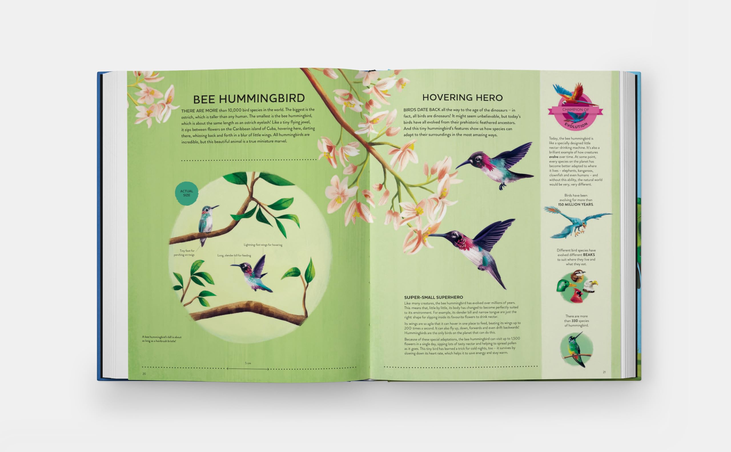 Nature's tiny champions: The Big Book of Little Creatures Doing Mighty Things