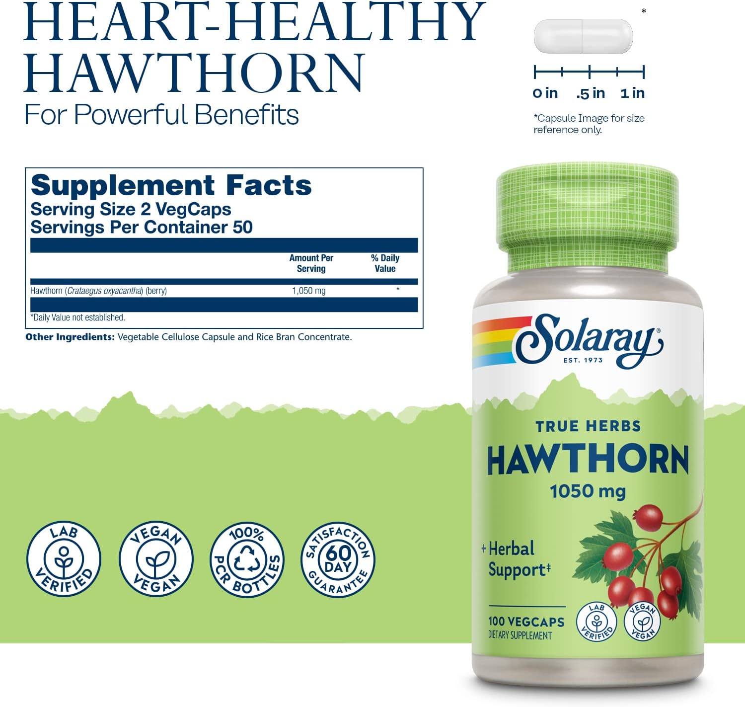 Solaray Hawthorn Berry 1050mg | Healthy Cardiovascular Function & Normal, Healthy Circulation | Whole Berry | Non-GMO & Vegan | 100 VegCaps : Health & Household
