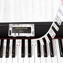 piano key labels Top3商品
