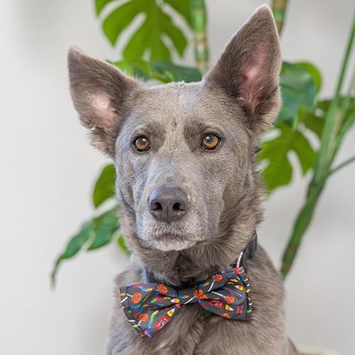 Miniatura 9 de Huxley & Kent Paquete de perro de Halloween  Kookie Korn y pajarita pequeña de caramelo espeluznante  Juguete de peluche para perro y collar de