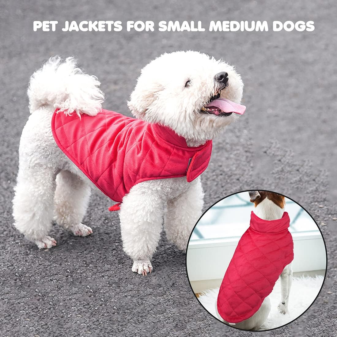 dog jackets online