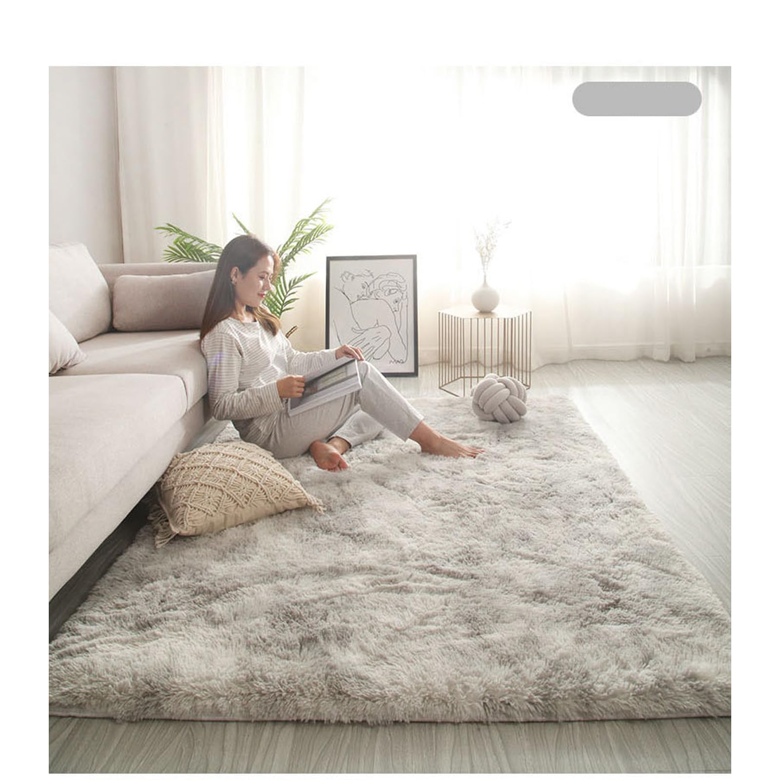 Rug, 4X6 Modern Rug, Soft Fluffy, Large, Shaggy, Bedroom,Luxury, Shag Area, Non-Slip(B,2ft*3ft)