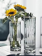 Vase, Glass, Transparent, Gray, Flower Base, Cylindrical, Glass Base, Glass Bottle, Arrangement (Grey - Large (Height: 30cm))