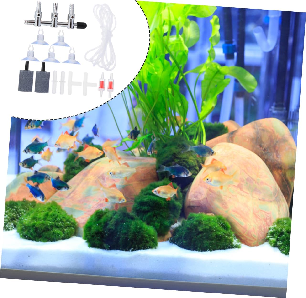 16pcs Aquarium Air Pump Accessories Set Cups Check Valves and Air Stones for Enhanced Airflow Control Fish Tanks