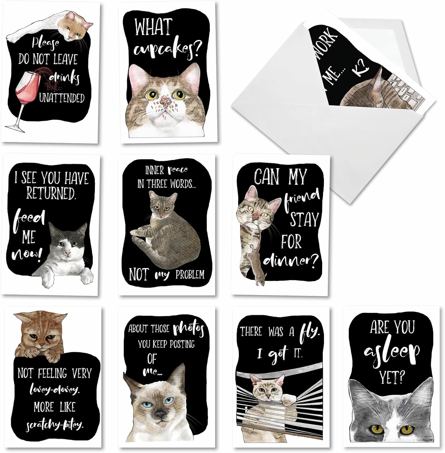 NobleWorks - 10 Assorted Funny Cats Greeting Cards Boxed set with Envelopes - Pet Animals Variety Pack - Cat Antics AC3638OCB-B1x10