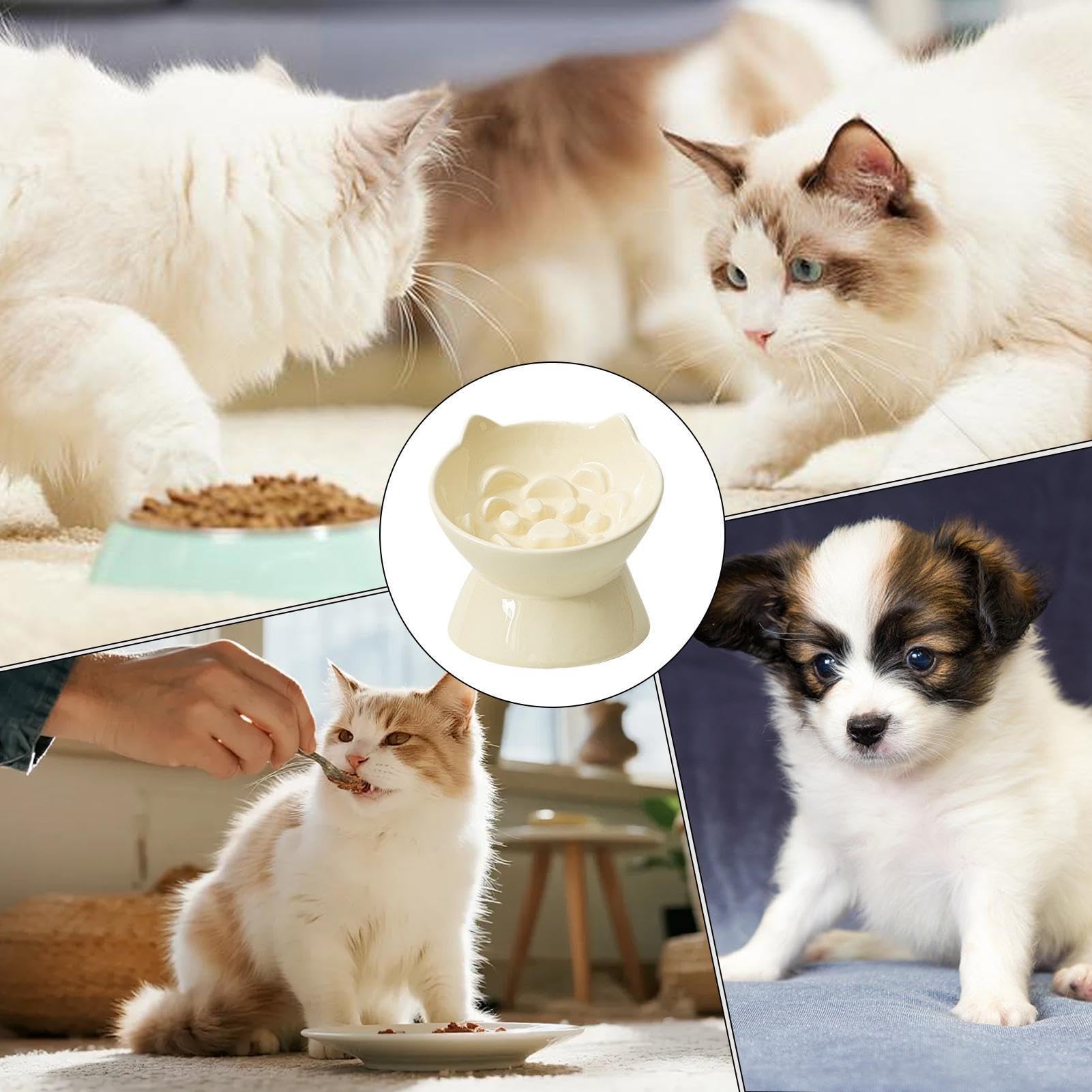 Rialzata Sopraelevata Per Gatti Mangiatoia Lenta Anti-Ingordigia in | Ciotole Sopraelevate Per Gatti per Interni Soggiorno Cucina Casa Appartamento Terrazzo