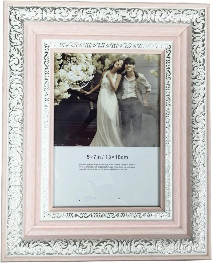 Lilian Pink Display 22x28 Picture Frame - Wall Mounting Material Included.