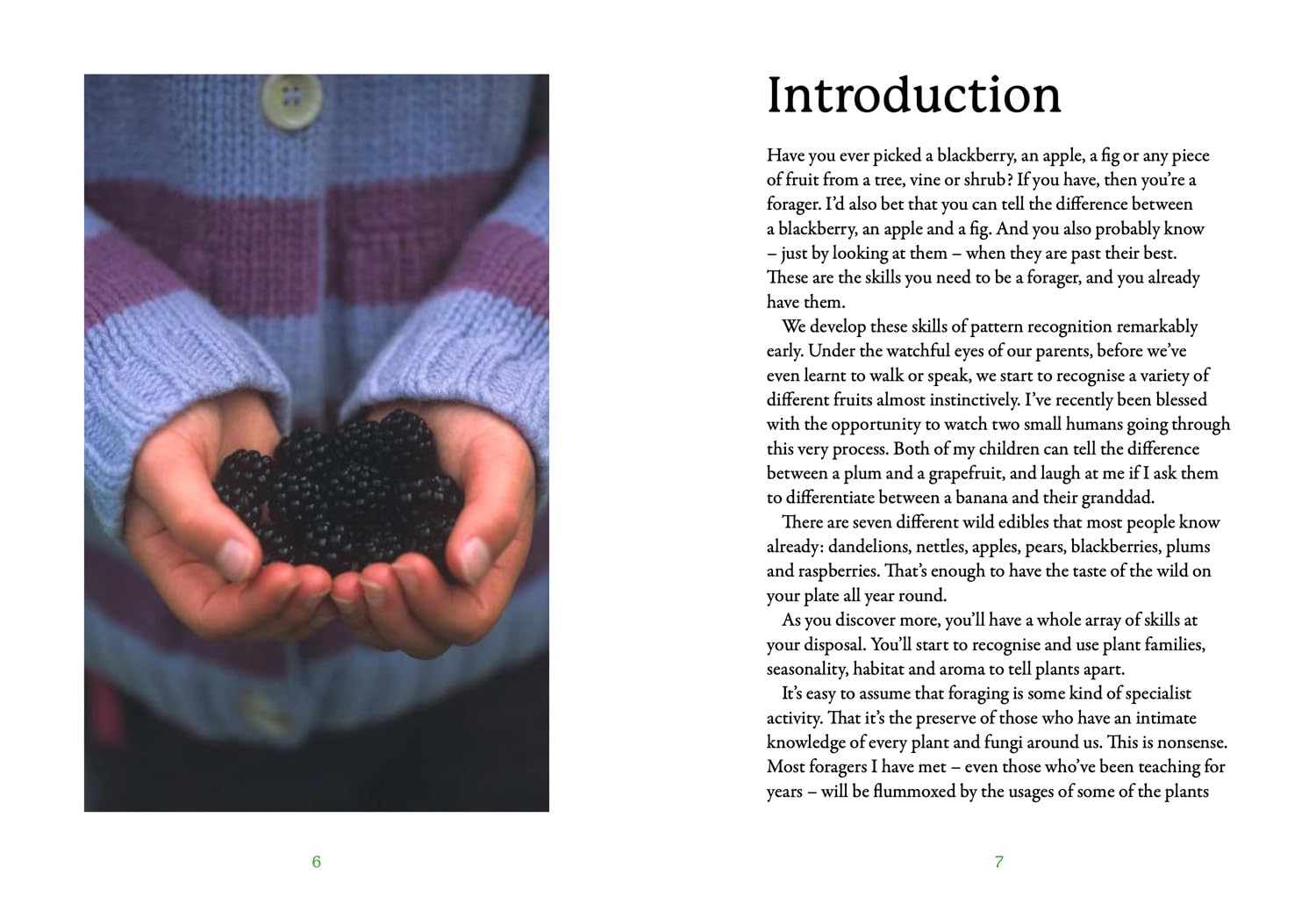 The First-Time Forager: A safety-first guide to edible wild plants (National Trust)