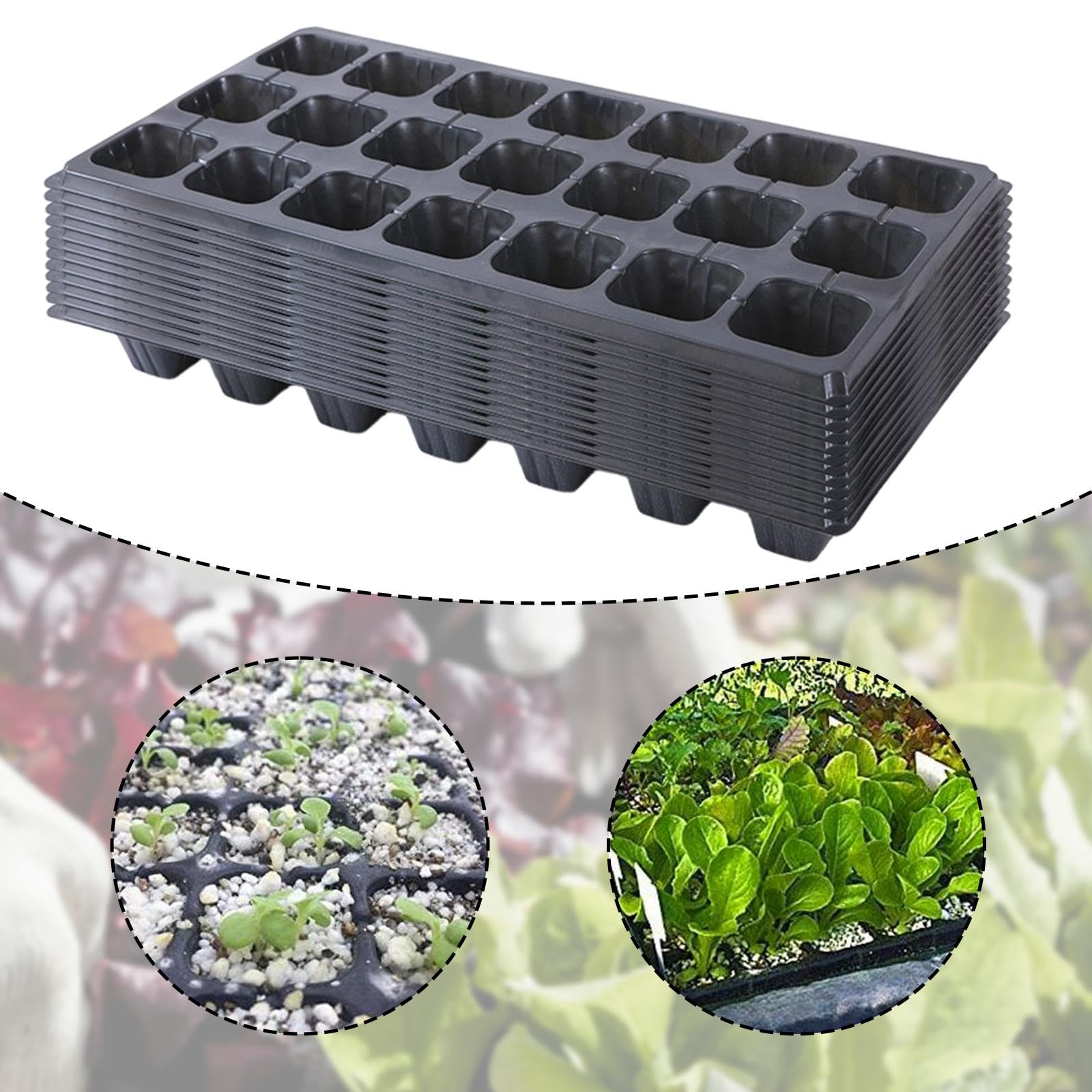 12 Plateaux de Semis Alvéolés en PP, avec Trous de Drainage, Bacs de Germination pour Semis de Légumes, Fleurs, Fruits, Plaques Pépinière Réutilisables pour Jardinage Intérieur, 21 cellules