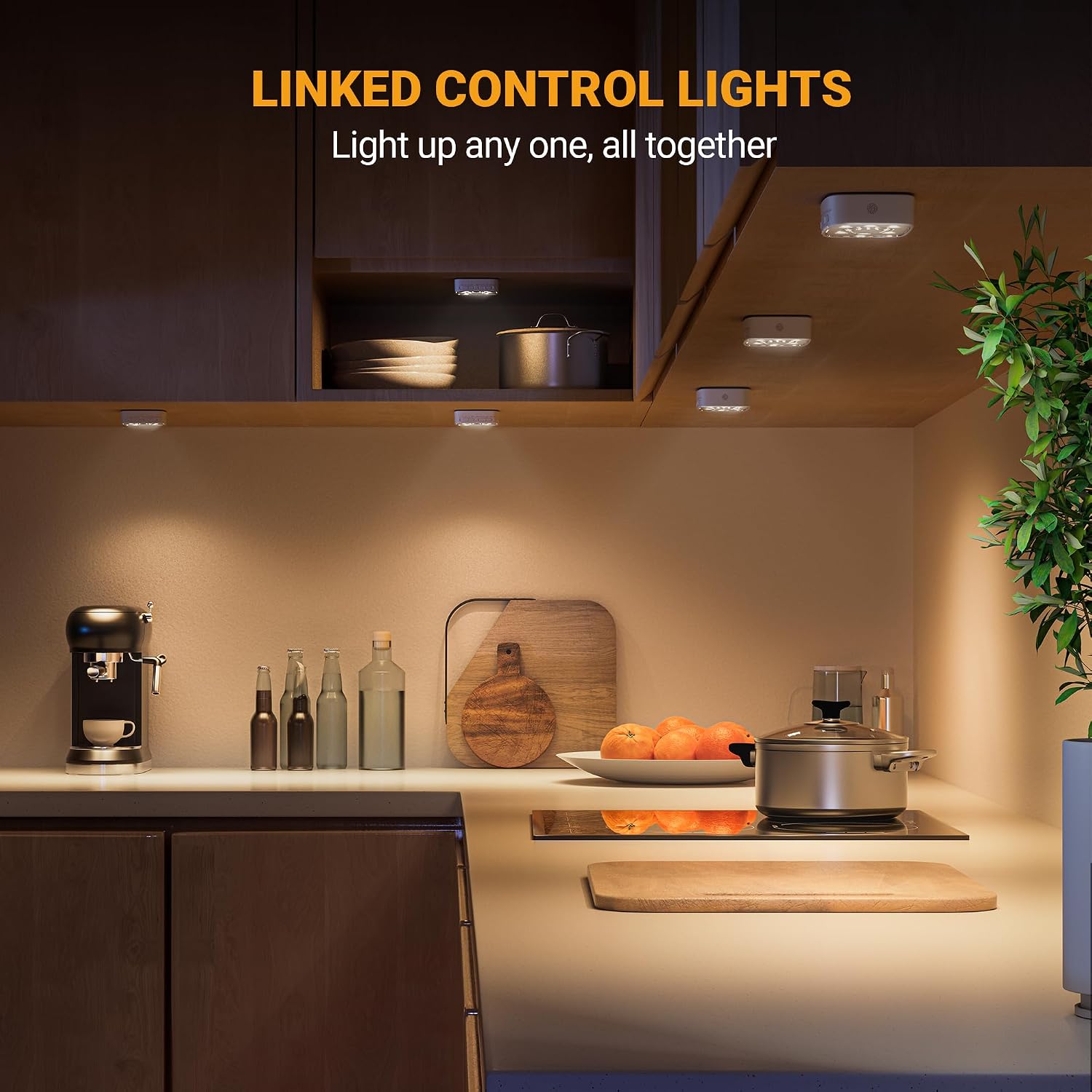 Image showing the Lyridz light with controls for dimming and color temperature selection, ranging from 1LM to 80LM brightness.