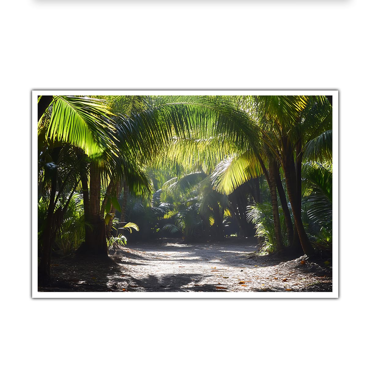 SHENGPOSTER Sunlit Palm Grove Path Canvas Wall Art Natural Beauty Tropical Forest with Gentle Sunbeams and Rich Greenery Print for Bedroom or Bathroom Frameless 80x120cm