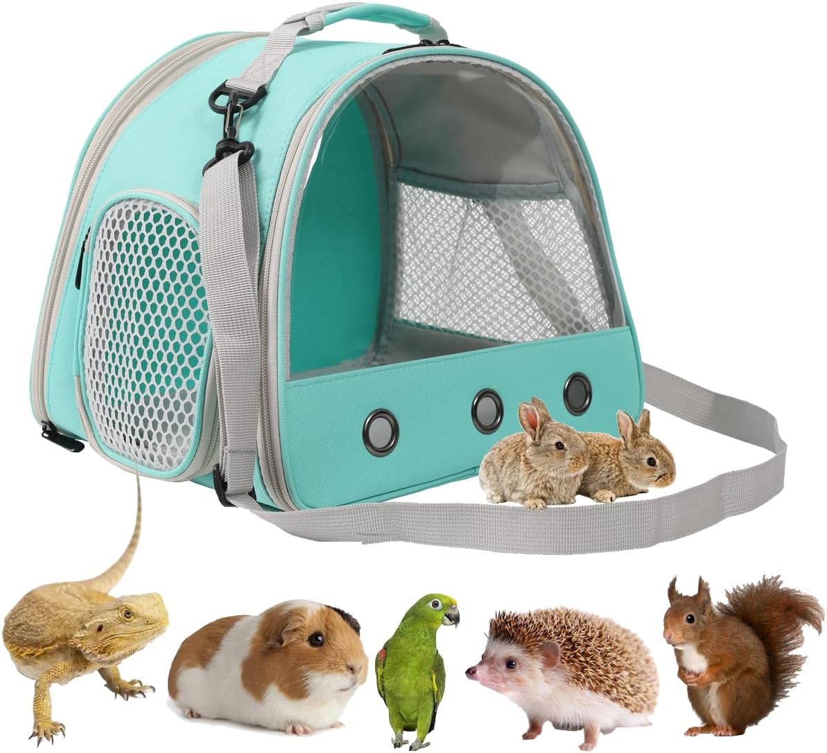 Bearded Dragon Carrier,Lizards Carrier, Small Animal Travel Carrier for