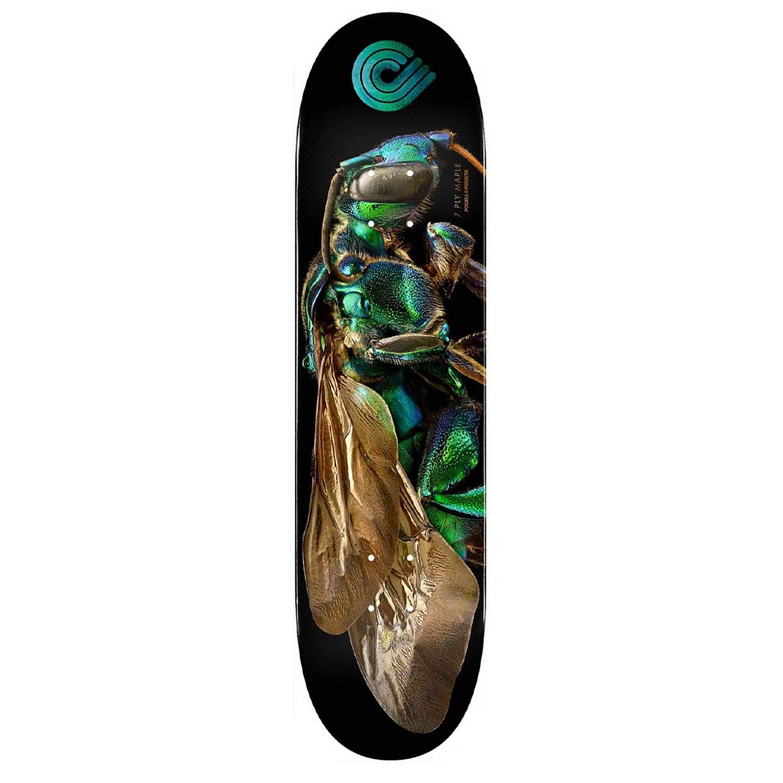 Amazon | Powell Peralta スケートボードデッキ ビス カッコウ