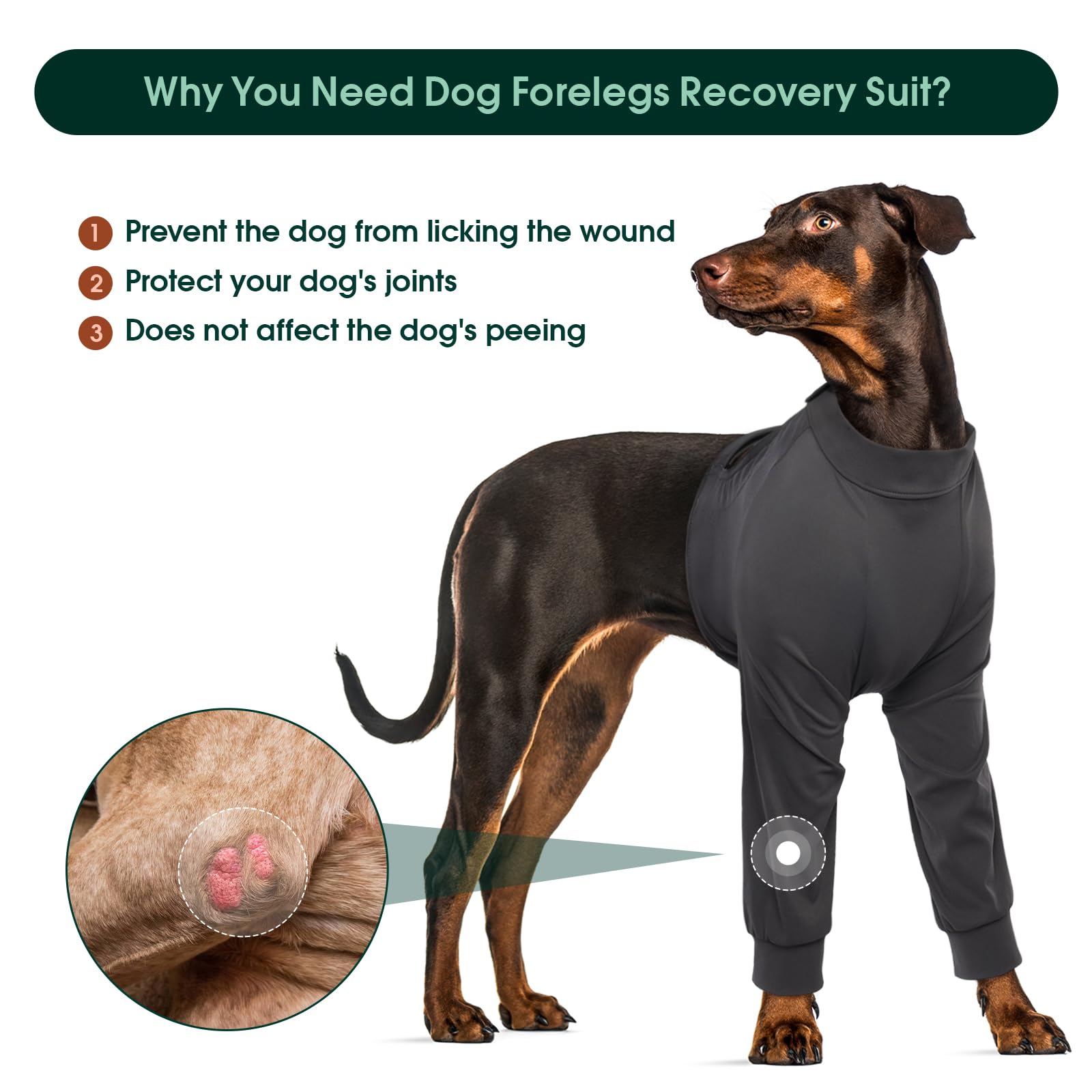 Kuoser M Dog Surgery Recovery Suit with Legs - Body medico per cani femmina, protezione per ferite a gomiti e gambe, manica anteriore per gamba post-operatoria, camicia protettiva per cani - grigio