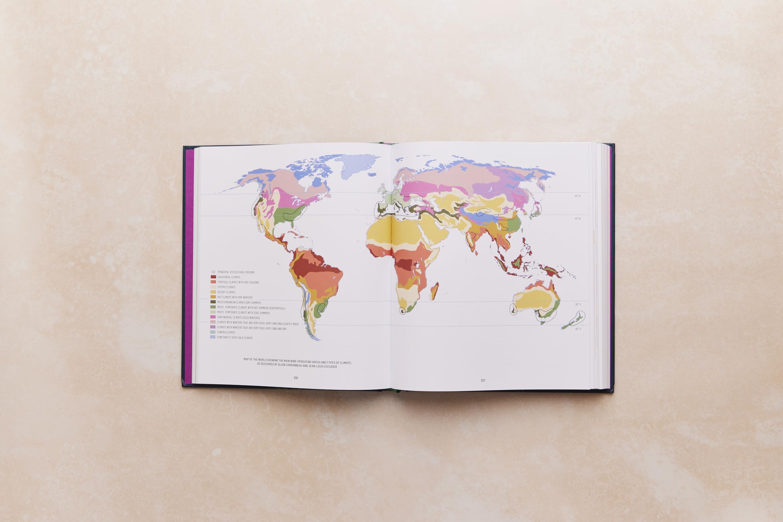 One Thousand Vines: A New Way to Understand Wine