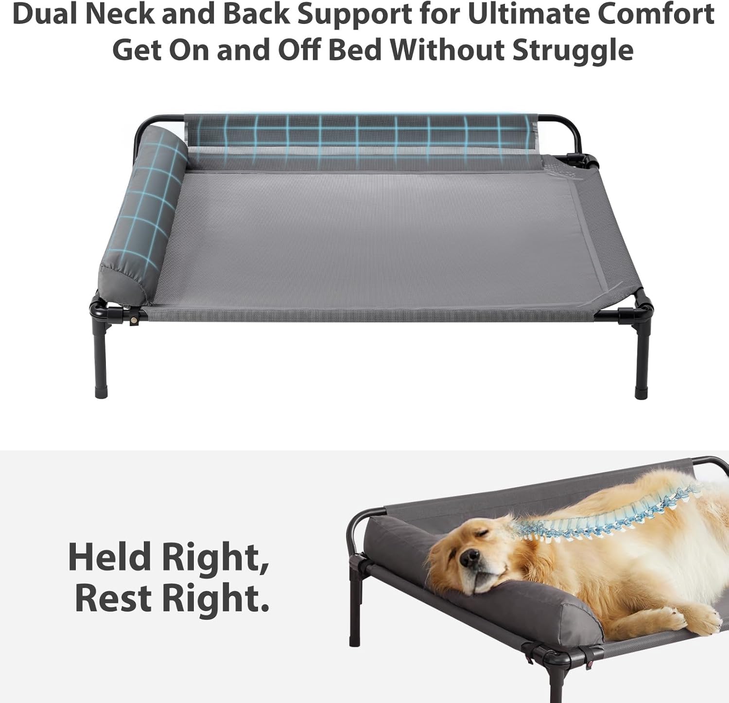 Ultimate Comfort: The Best Cooling Elevated Dog Beds for Your Large Pet