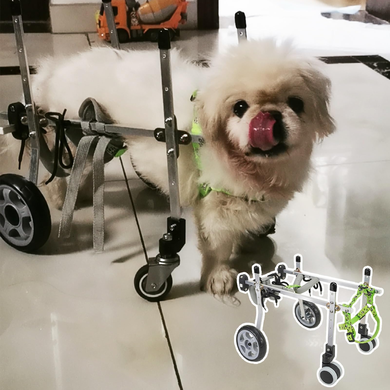 Fauteuil roulant pour petit chien chariot réglable chat 4 roues