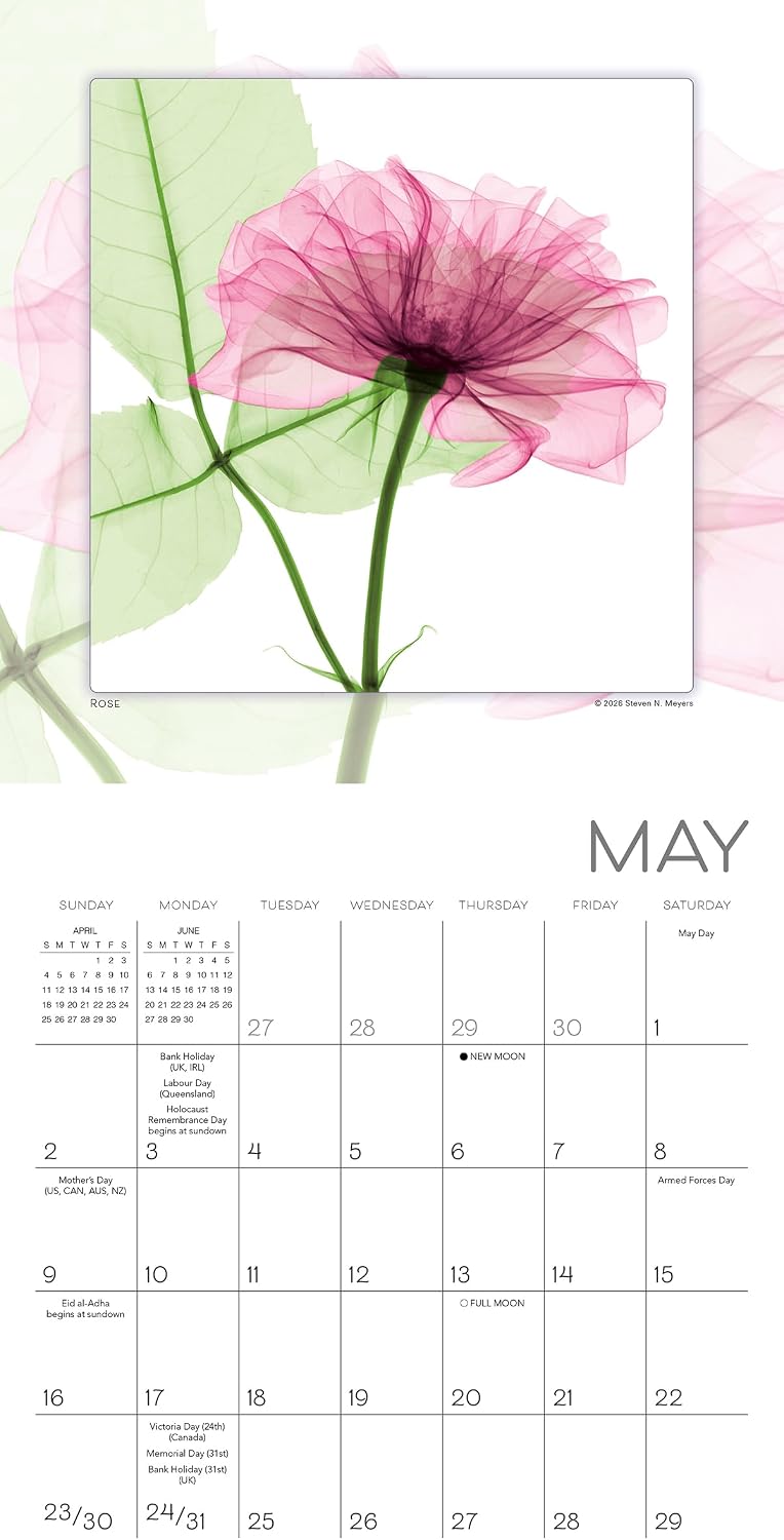 Flower Spirits 2027 Mini Wall Calendar, Botanical X-Ray Art & Radiograph Photography of Nature by Steven N. Meyers, 7" × 7" image 4