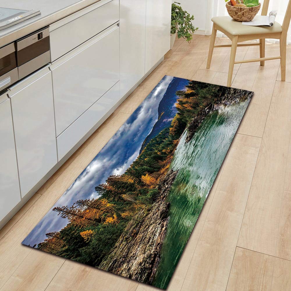 OPLJ Natural Scenery Home Mat Kitchen Floor Carpet Rugs Insole Kitchen Rugs Indoor Bathroom Non-Slip Floor Mats A19 50x80cm