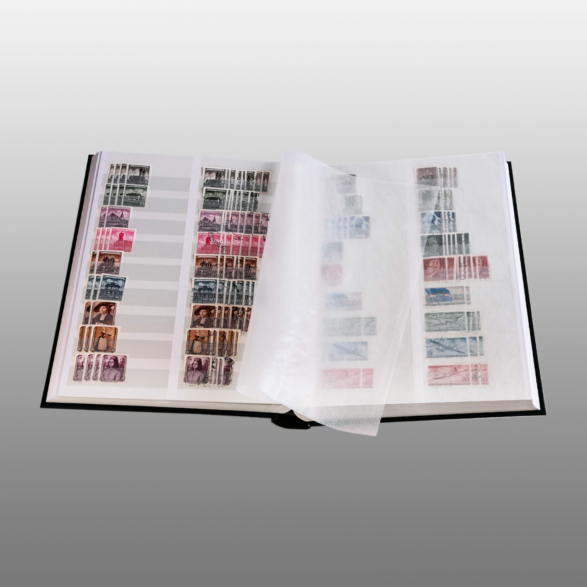 Prophila clasificador 60 Paginas Blanco y Bandas DIVIDIDAS, Rojo Colore