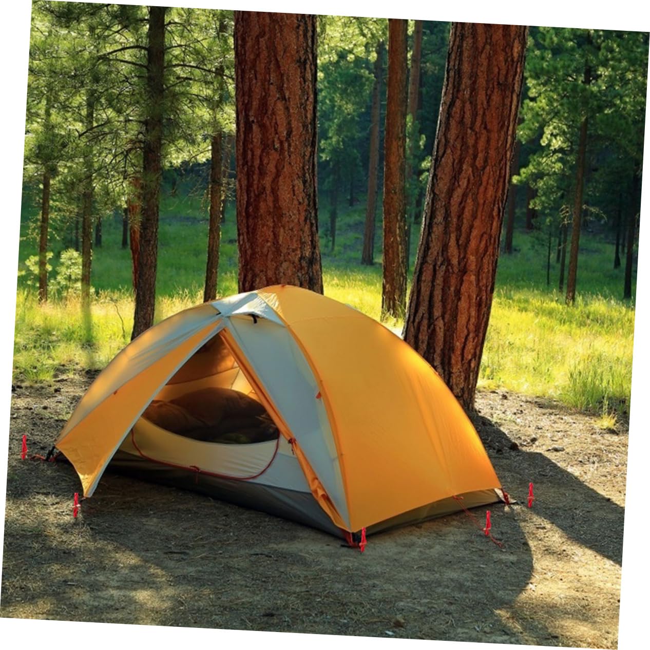 pièces piquets de tente en alliage d'aluminium poutre en Y dentelure saillante équipement de camping accessoires de camping clous piquets de tente piquets de sol de tente robustes voyage corde à ven