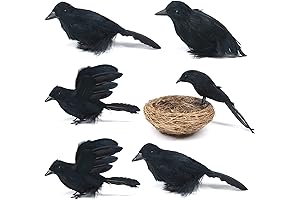 6PCS Realistic Black Crows for Halloween